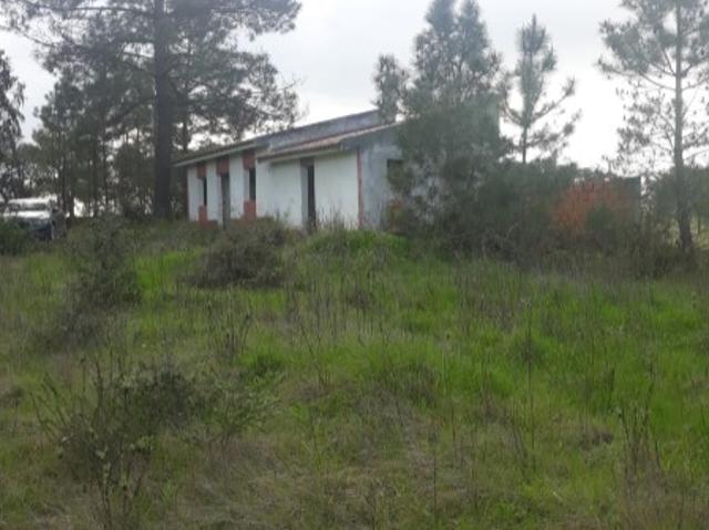 Terreno venda em Cartaxo, Santarém