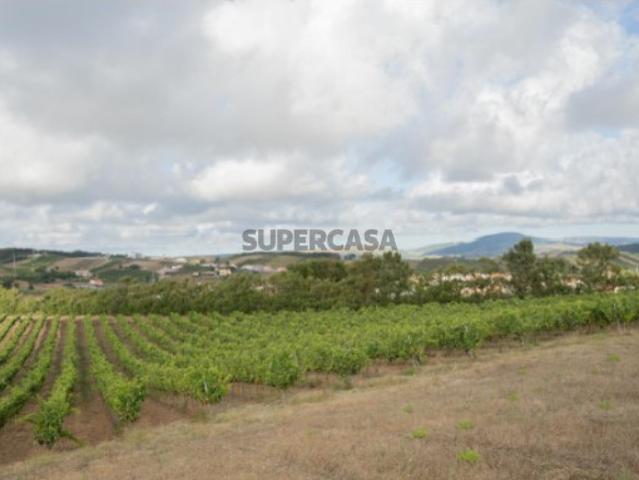 Terreno venda em Torres Vedras, Lisboa