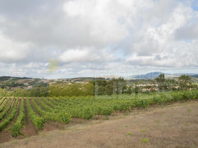 Terreno venda em Torres Vedras, Lisboa