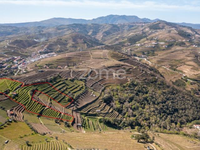 Terreno venda em Santa Marta De Penaguião, Vila Real