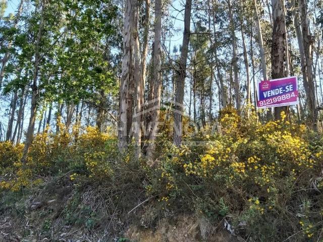 Terreno venda em Nespereira, Viseu