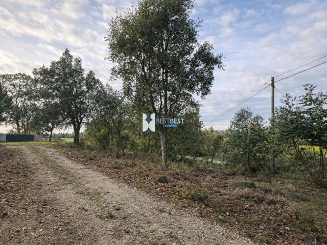 Terreno venda em Burgães, Santo Tirso