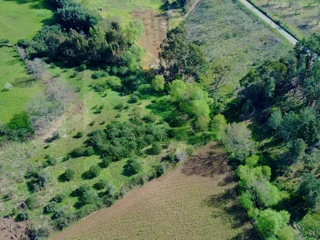 Terreno venda em Castelo Branco, Aldeia Nova Do Cabo
