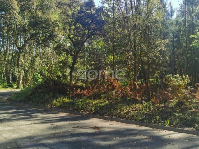 Terreno venda em Quinta do Morangal, Águeda