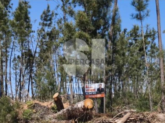 Terreno venda em Casal do Castanheiro, Ourém