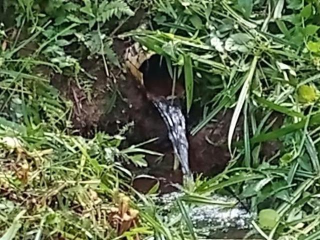 Terreno venda em Juquitiba