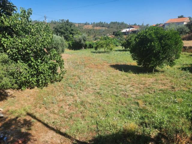 Terreno venda em Castelo Branco, Vila Velha De Ródão
