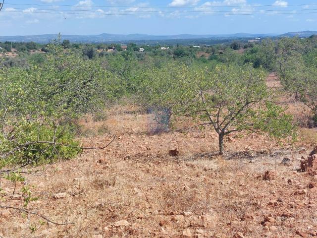 Terreno venda em Silves, Faro