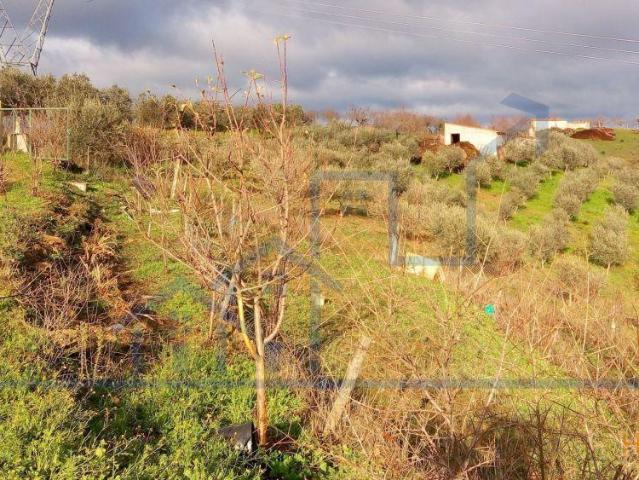 Terreno venda em Alfândega Da Fé, Bragança