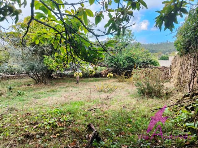 Terreno venda em Viana Do Castelo