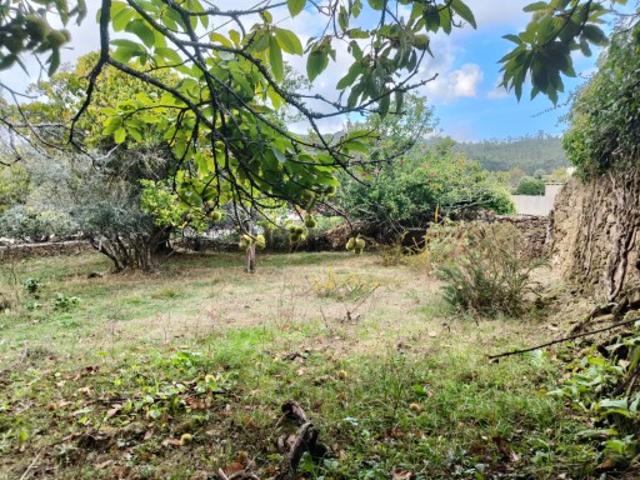 Terreno venda em Viana Do Castelo
