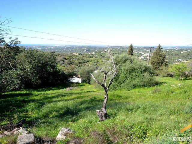 Vivenda venda em Fonte de Boliqueime, Loulé