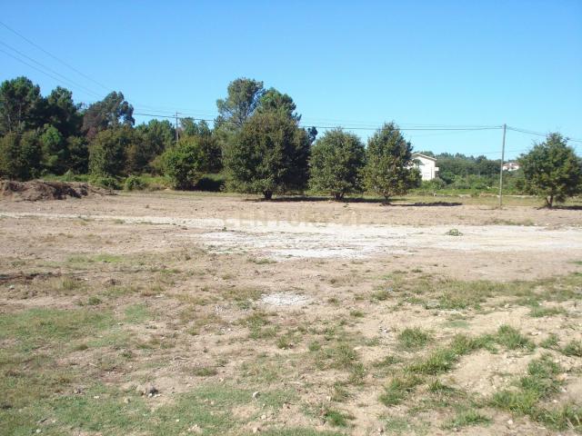 Terreno venda em Travassós de Baixo, Viseu