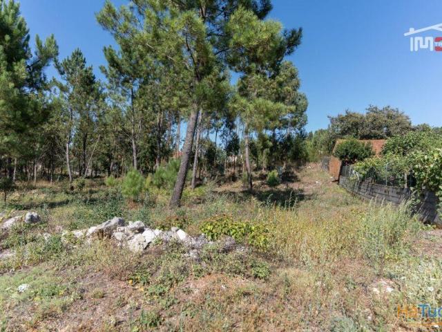 Terreno venda em Batalha, Leiria