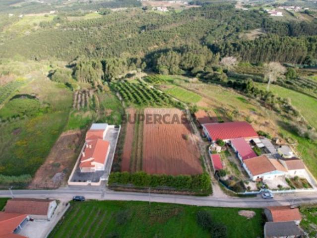 Terreno venda em Bombarral, Carvalhal