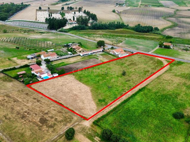 Terreno venda em Alpiarça, Santarém