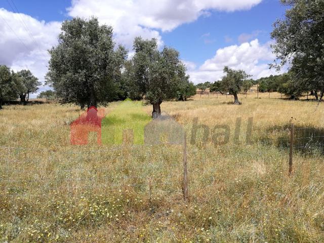Terreno venda em Viana Do Alentejo, Évora