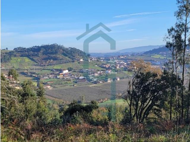 Terreno venda em Alcobaça, Leiria