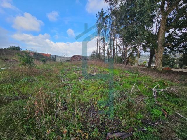 Terreno venda em Alcobaça, Leiria
