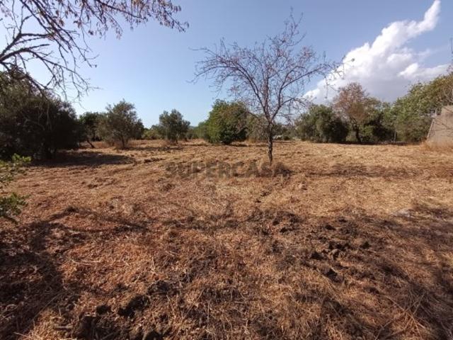 Armazém venda em São Brás De Alportel, Faro