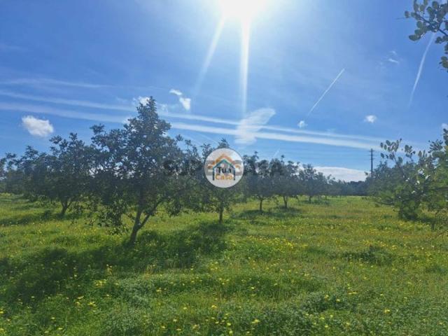 Terreno venda em Faro