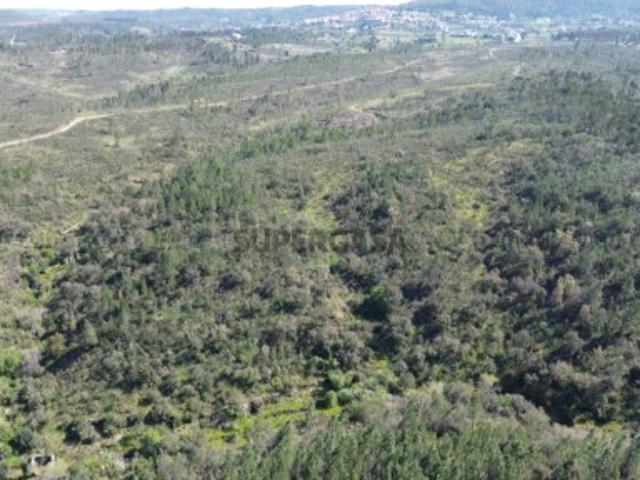 Terreno venda em Castelo Branco