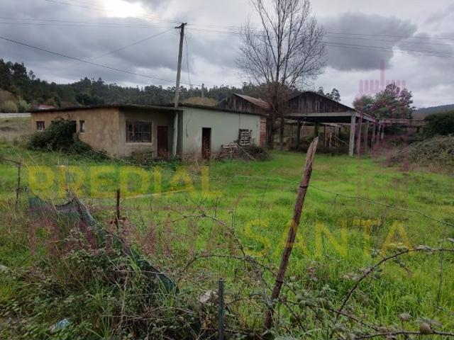 Terreno venda em Montoiro, Miranda Do Corvo