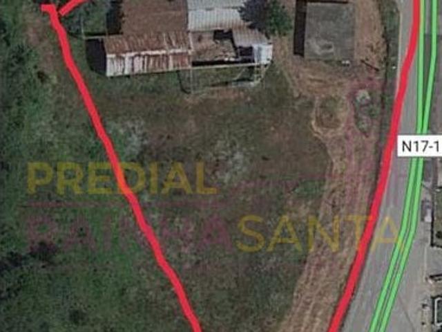 Terreno venda em Montoiro, Miranda Do Corvo