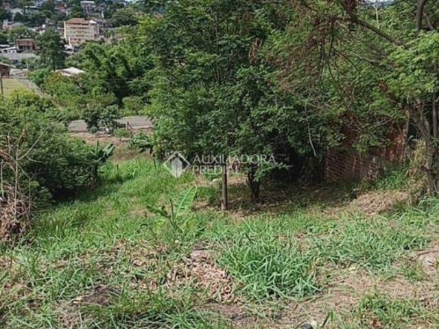 Terreno venda em Região Geográfica Imediata de Novo Hamburgo - São Leopoldo, Região Metropolitana de Porto Alegre