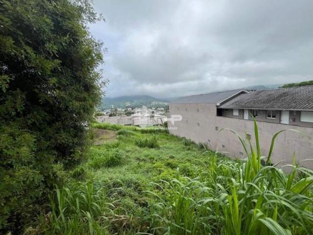 Terreno venda em Região Geográfica Imediata de Caxias do Sul, Feliz