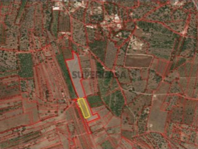 Terreno venda em São Bartolomeu De Messines, Faro