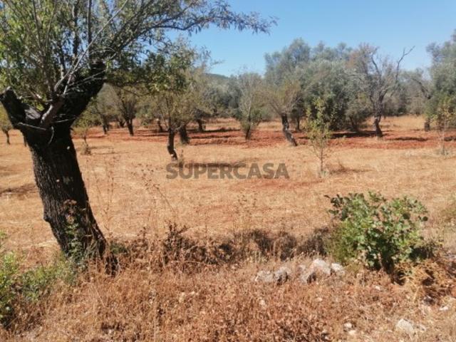 Terreno venda em Loulé, Faro