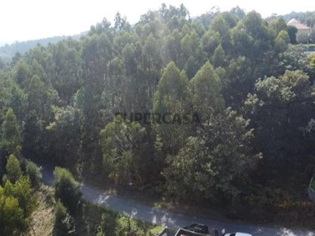 Terreno venda em Ribeira do Neiva, Vila Verde