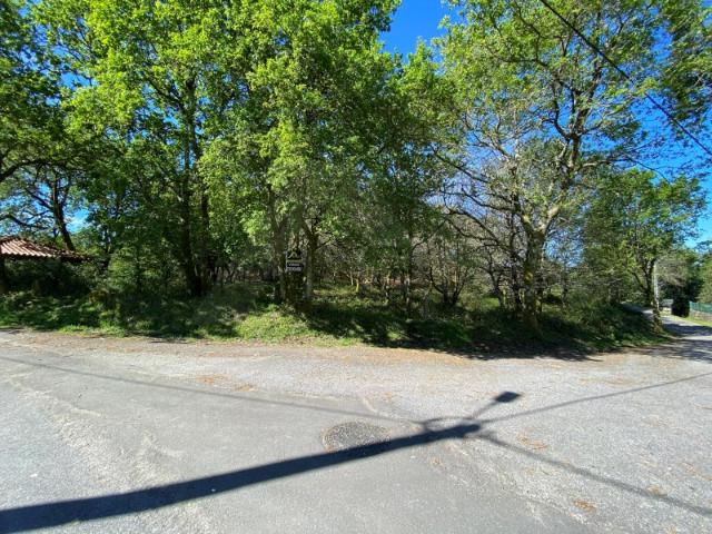 Terreno venda em Vascões, Viana Do Castelo