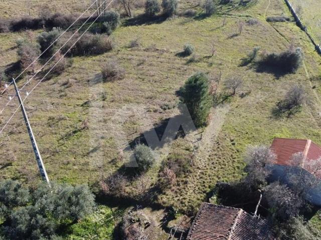 Terreno venda em Castelo Branco, Aldeia Nova Do Cabo