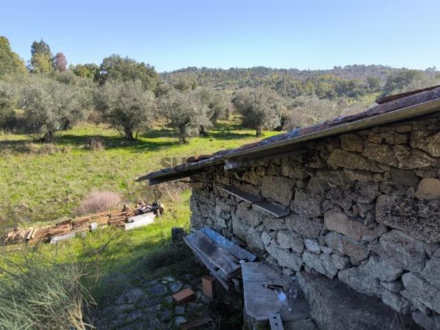 Terreno venda em Castelo Branco