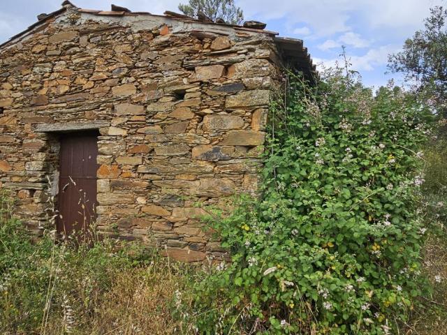 Terreno venda em Castelo Branco, Vila Velha De Ródão