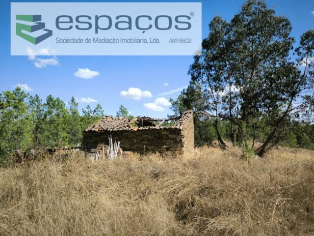 Quinta venda em Castelo Branco