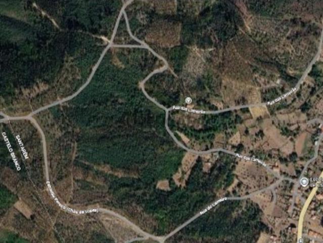 Terreno venda em Chão de Lopes Grande, Mação