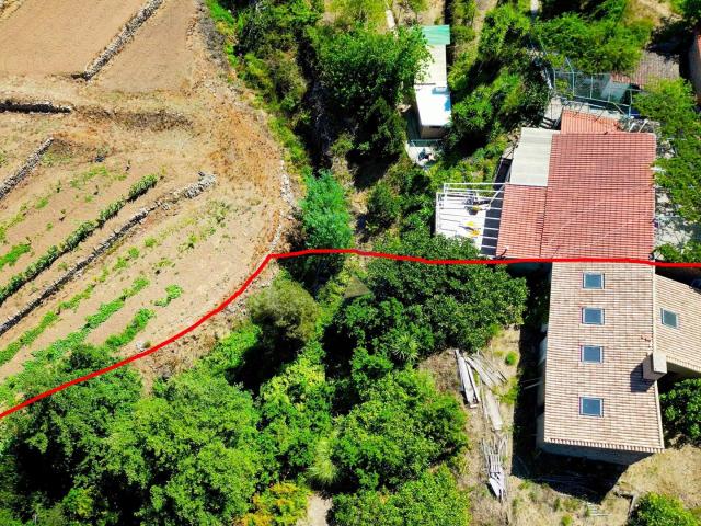 Terreno venda em Monchique, Faro