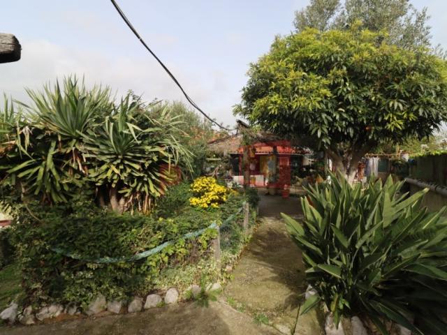 Terreno venda em Broega, Montijo