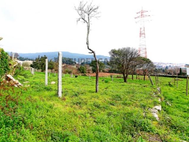 Terreno venda em Viana Do Castelo
