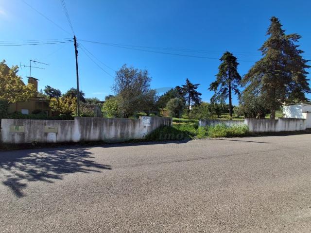 Terreno venda em Almonda, Torres Novas