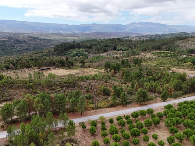 Terreno venda em Guarda, Figueiró Da Granja