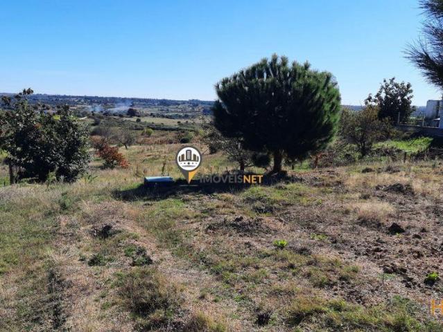 Terreno venda em Castelo Branco