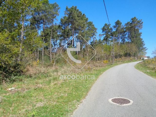 Terreno venda em Guarda, Celorico Da Beira