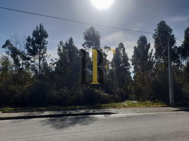 Terreno venda em Oliveira De Azeméis, Aveiro