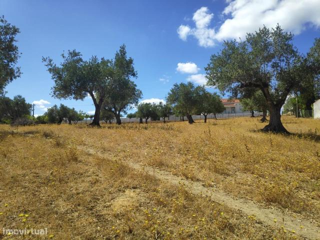 Terreno venda em Carregueiros, Casal da Estrada