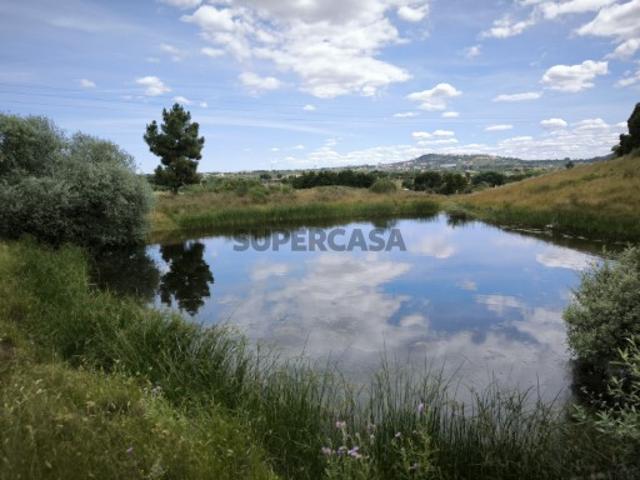 Terreno venda em Castelo Branco