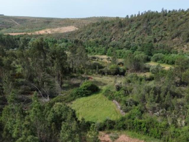 Terreno venda em Castelo Branco